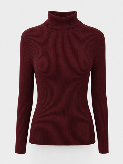 Pull Anaïs à col roulé fin – vue 6